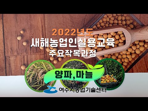 2022년도 새해농업인실용교육 – 양파, 마늘