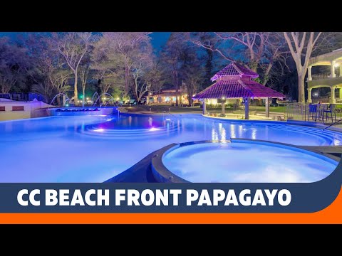 Videos del Cc Beach Front Papagayo 5★ en Papagayo, Costa Rica
Ver Más
Ver
Precios
13
Cerrar
Consulta por Whatsapp 🇦🇷
Booking
Tripadvisor
Expedia
Travelocity
Orbitz
Priceline
Trip
Skyscanner
Despegar
Hoteles
Destinia
Hotwire
Tui
