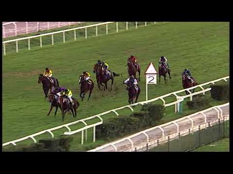 rm 20211126 03 p zinoiitris