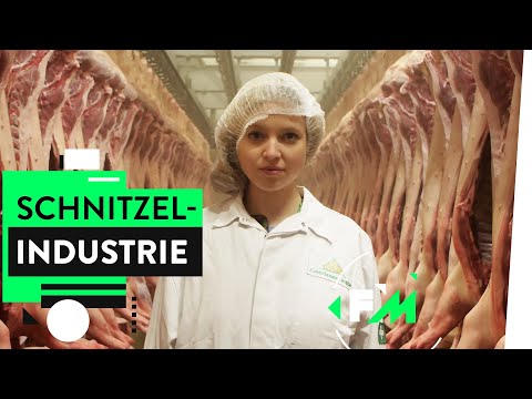 Das Geschäft mit Deutschlands Schweinen