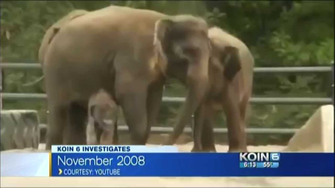 Part 4 - Broken Bond Promise?