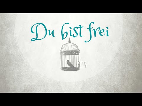 🌟 Du bist *frei* 🌟 (ErInnere Dich) - Channeling