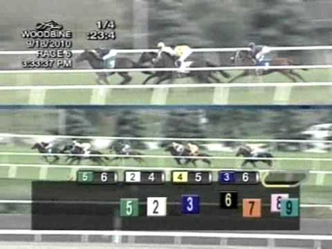 2010 Summer Stakes