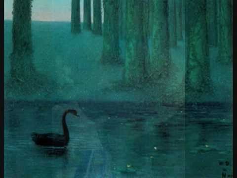 Black Swan - Paul Roessler