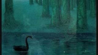 Black Swan - Paul Roessler
