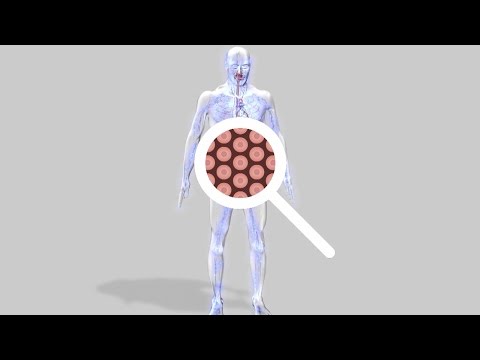 Au coeur des organes : La respiration cellulaire