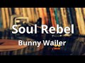 Bunny Wailer - Soul Rebel ( Lyrics )