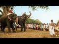 ഉടനെ ആനയെ തളച്ചിലെങ്കിൽ സർക്കാരിൽ നി