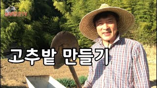 #1 고추재배 / 고추밭 만들기 / 노지고추 크게 키워 보고 싶네요