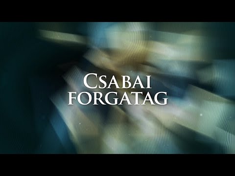Csabai Forgatag - Hőség - Parkolóépítés Békéscsabán - 2024. 08. 16.