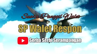 Download lagu SP WALET RESPON mp3