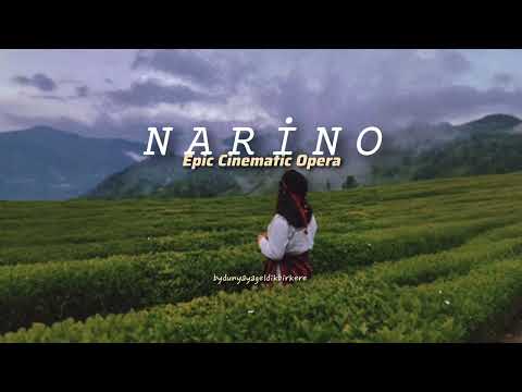 Narino-Kazım Koyuncu