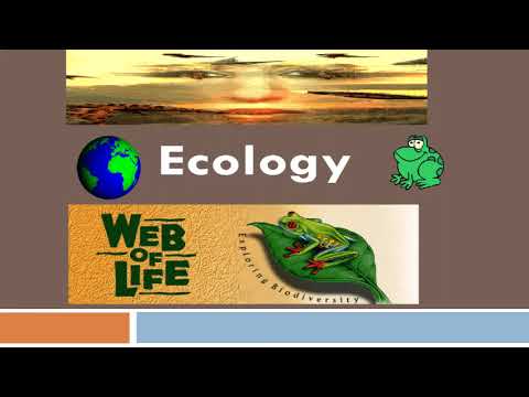 Video presentation: Ecology