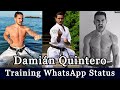 Damian Quintero Training for Olympics 2021| Karate WhatsApp Status | Best Kata Champion in the World