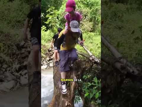 Cascada San Julián del municipio de Peque Antioquia. #cascadasdecolombia #PequeAntioquia #turismo