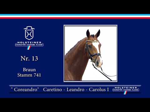 Holsteiner Körlot 2018 | Nr. 13 - COREANDRO v. Caretino - Leandro