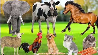 Cute Farm Animals: Sheep, Goat, Cow, Chicken, Rabbit, Pig, Duck – Animal Sounds