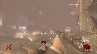 BO2ゾンビ w杯まで耐久