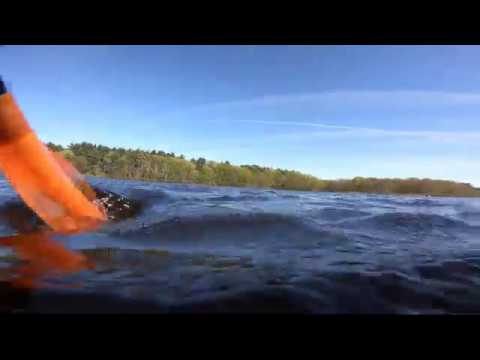 Above, and under the river. Charles River, Waltham MA