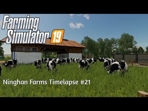 Buying Cows, Feeding Them And Cutting Grass | Ninghan Farms #21 | FS19 Timelapse