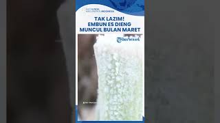 Beda dari Biasanya! Embun Es di Dieng Muncul Maret 2023, Simak Tips Antisipasi Kondisi Suhu Dingin