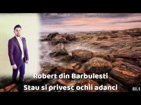 Robert din Barbulesti- Stau si privesc ochii adânci