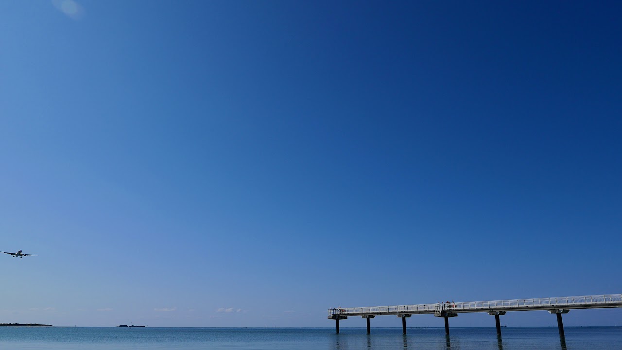 一眼カメラで飛行機を撮影――動きや音の変化を見せるのがコツ【パナソニック公式】