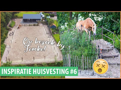 , title : 'BEKENDSTE KLEINSTE PLEK OM PAARDEN TE HOUDEN! | felinehoi INSPIRATIE HUISVESTING #6'