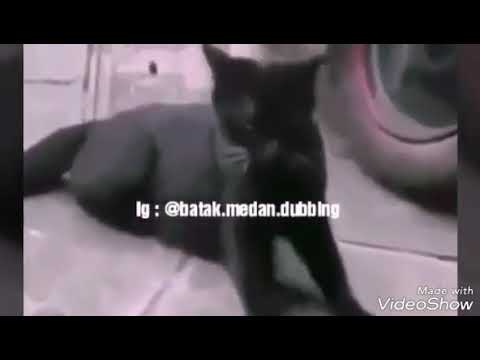 BIJINGINIM || BATAK MEDAN DUBBING || hahahaha || batak x