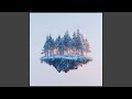 Not By Bread Alone (Live Worship Version)