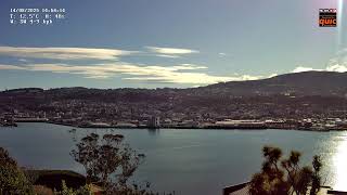 Dunedin Overview