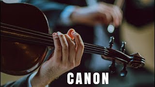 Canon in D Pachelbel | Cordas para Casamento | Música Instrumental de Casamento
