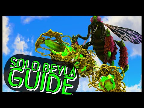 SOLO BEYLA Guide on FJORDUR! How to easily beat and find the worldboss!