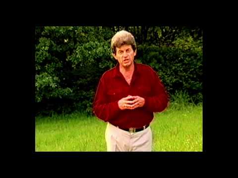 Gavril Puscas - O, Isuse Doamne