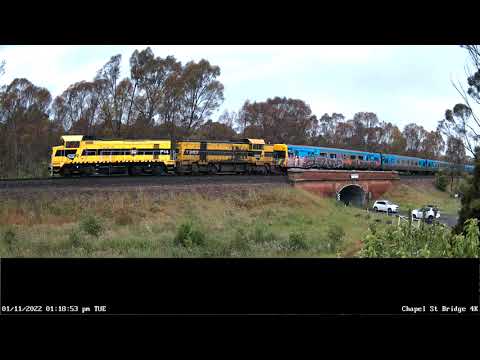 SSR P14 T363 Comeng Transfer Down - 1st Nov 2022