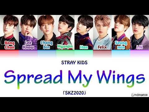 Stray Kids "SPREAD MY WINGS" (SKZ2020) colorcodedlyrics Han-Rom-Eng