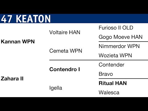 Holsteiner Körung 2018 | Nr. 47 - Keaton