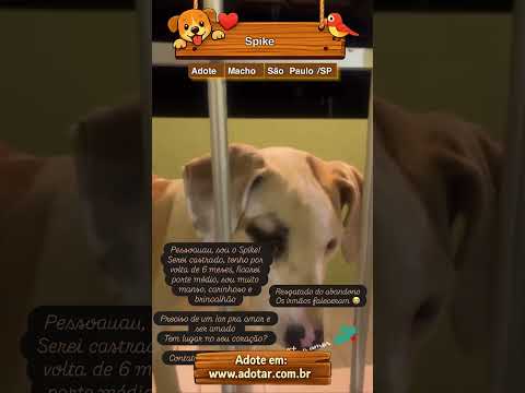 Vídeo de Spike