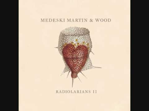 Medeski, Martin & Wood - "Baby Let Me Follow You Down"