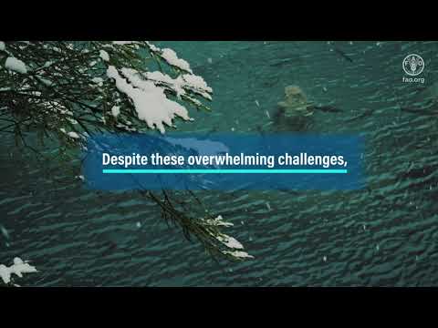 Sustainable fisheries: Linking biodiversity conservation and food security