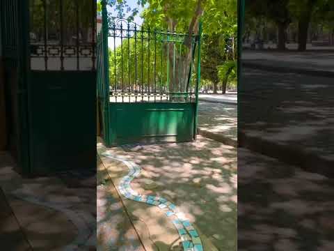 Estamos por entrar a la plaza Malvinas Argentinas de la ciudad de #laplata #shorts #buenosaires