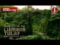 ‘Ang Lihim ng Lumang Tulay,’ dokumentaryo ni Kara David | I-Witness