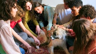 Franck Flower - I'm Absent (That's Why)