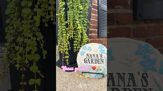 🥰“Creeping Jenny” ft Garden gnome friends🪏 #gardening #plants #lifeisbutadream
