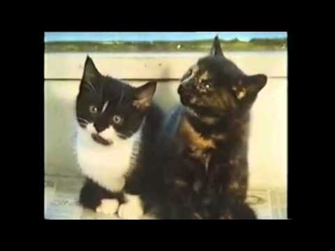 Country Ways    "The Devil's Dyke in October" TVS 1986