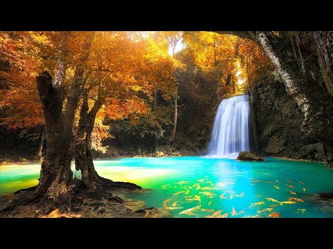 O AMOR FAZ | Music Live | Diego Perensin & Felipe Godoi Smoke | relaxing | yoga music Vol 2