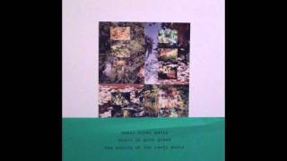 Small Cruel Party - Stain On Pure Glass