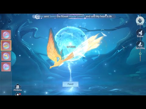 Fate of the Empress: Let's Play with Spirits together! - YouTube