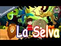 La Selva Qué Es La Selva Flora Y Fauna Video Educativo
