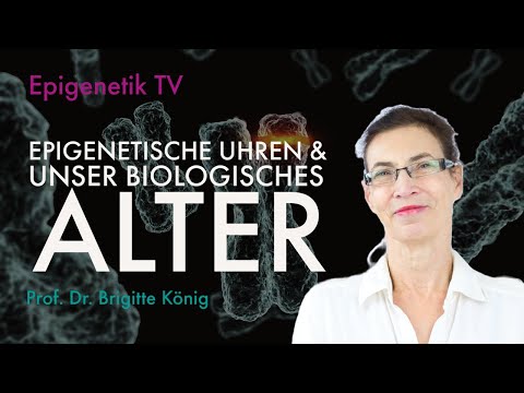Epigenetische Uhren & biologisches Alter mit Prof. Dr. Brigitte König